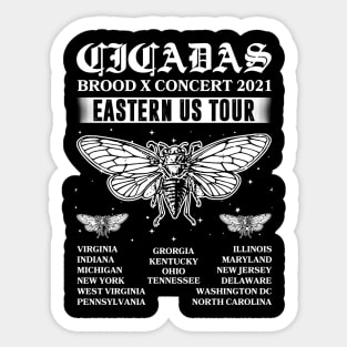 Cicada Mandala Brood X 2021 Eastern Usa Bug Sticker